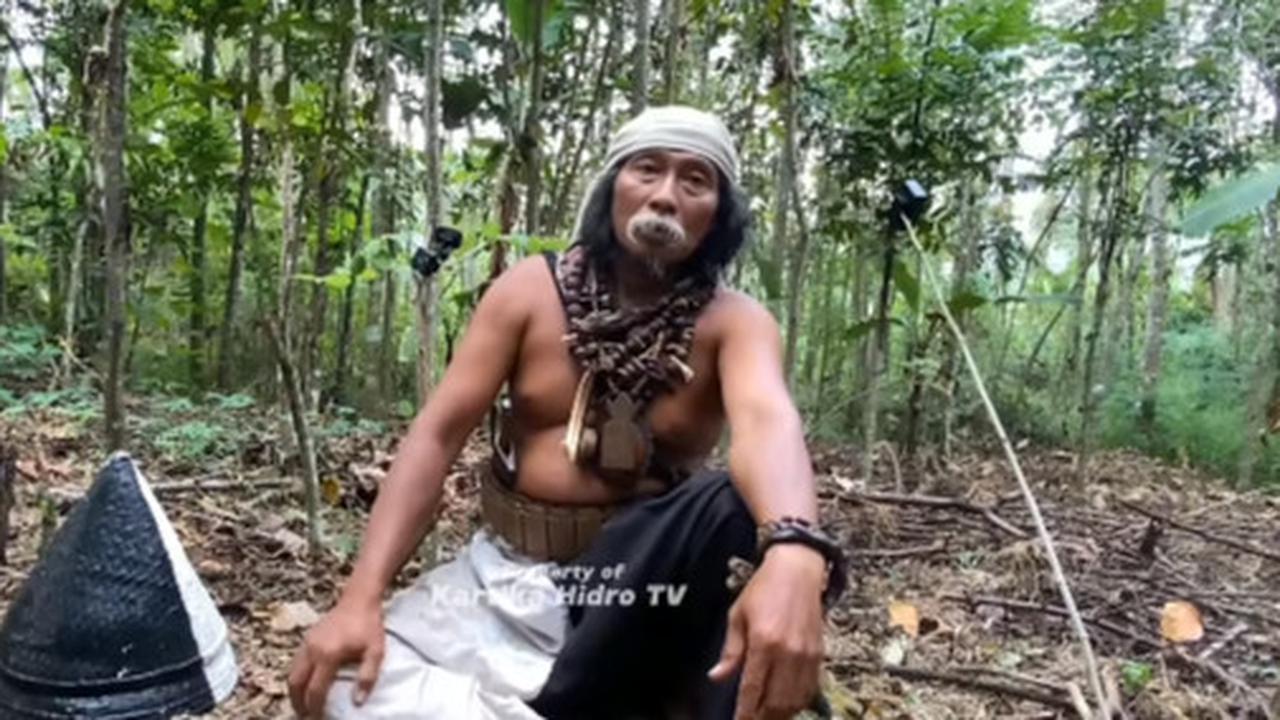 Tak Disangka, Suku Dayak Losarang Ini Miliki Sawah Hektaran Setiap Panen 7 Ton