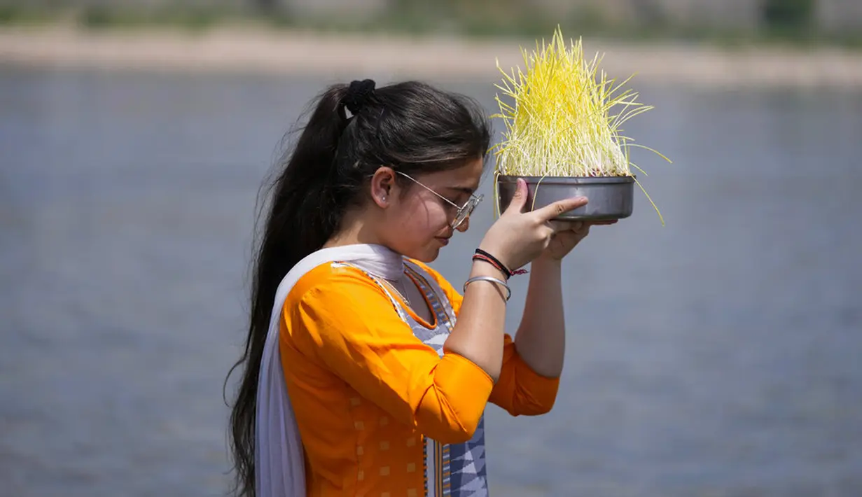 Seorang Umat Hindu bersiap untuk membenamkan bibit jelai sebagai persembahan saat Festival Navratri di Sungai Tawi, Jammu, India, 10 April 2022. Sesaji tersebut dibuat sebagai bagian dari ritual menandai berakhirnya festival selama sembilan hari. (AP Photo/Channi Anand)