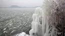 Sebuah tumbuhan tertutup salju di pantai Danau Balaton di Fonyod, Hungaria (26/2). Karena cuaca ekstrem tersebut banyak bangunan dan tempat yang beku tertutup salju. (Gyorgy Varga / MTI via AP)
