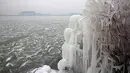 Sebuah tumbuhan tertutup salju di pantai Danau Balaton di Fonyod, Hungaria (26/2). Karena cuaca ekstrem tersebut banyak bangunan dan tempat yang beku tertutup salju. (Gyorgy Varga / MTI via AP)