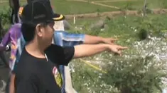 liputan6