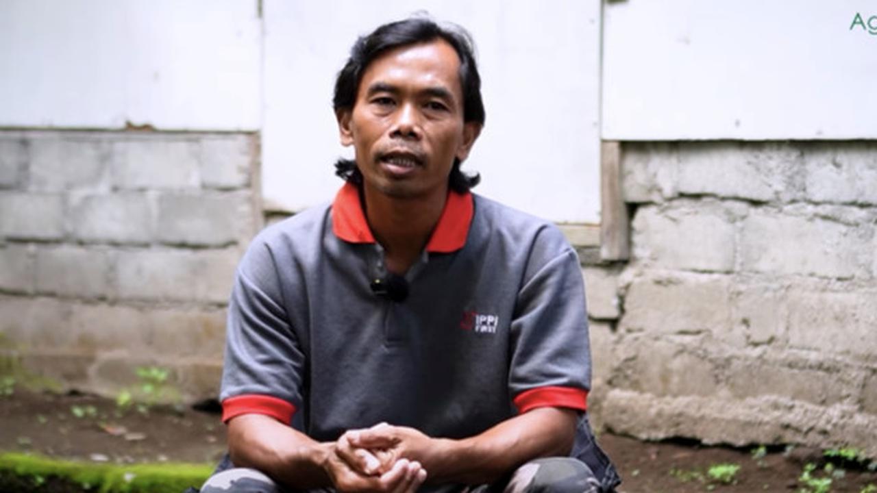 Resign dari Perusahaan Transportasi, Pria Ini Sukses Ternak Ulat Hong Kong Hasil 1 Kuintal per-Minggu