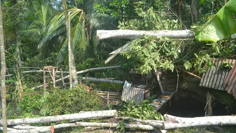 Puting beliung merusak 182 rumah dan berbagai bangunan lain di Pemalang, Jawa Tengah. (Foto: Liputan6.com/Muhamad Ridlo)