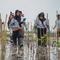 Nestlé Indonesia melalui program #BersamaNestlé melaksanakan aksi penanaman pohon dan tanaman bakau di tiga provinsi. Dok Nestle