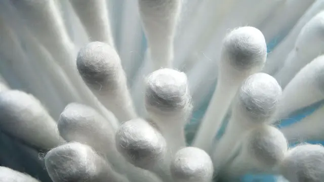 Cotton Bud