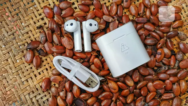 Mi True Wireless Earphones 2s