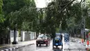 Pengendara menghindari pohon tumbang yang menutupi sebagian jalan di kawasan Cikini, Jakarta, Kamis (22/11). Hujan deras disertai angin kencang  melanda Ibukota pada Kamis (22/11) sore. (Liputan6.com/Immanuel Antonius)