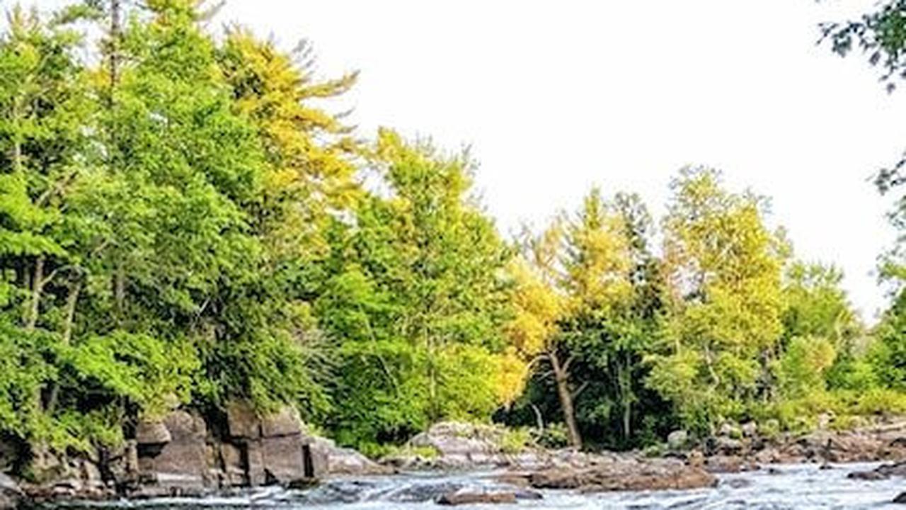 24 September 2023 Peringatan Hari Sungai Sedunia, Ketahui Sejarah dan Tema Tahun Ini