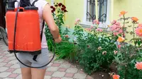 Jangan Asal Pilih, Ini Alat Semprot Tanaman Terbaik untuk Perawatan yang Lebih Maksimal