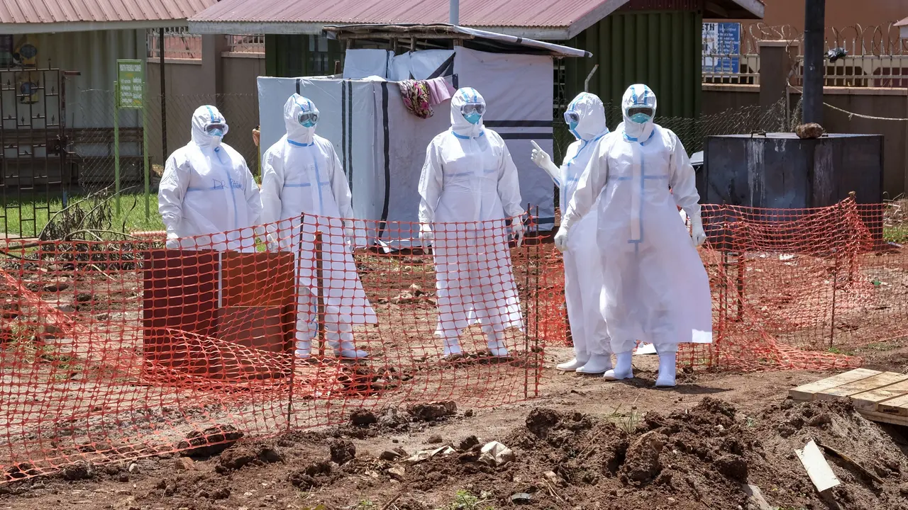 Sejarah Ebola Sejak 1976, Kini Muncul Lagi dengan 246 Kasus Suspek di Kongo