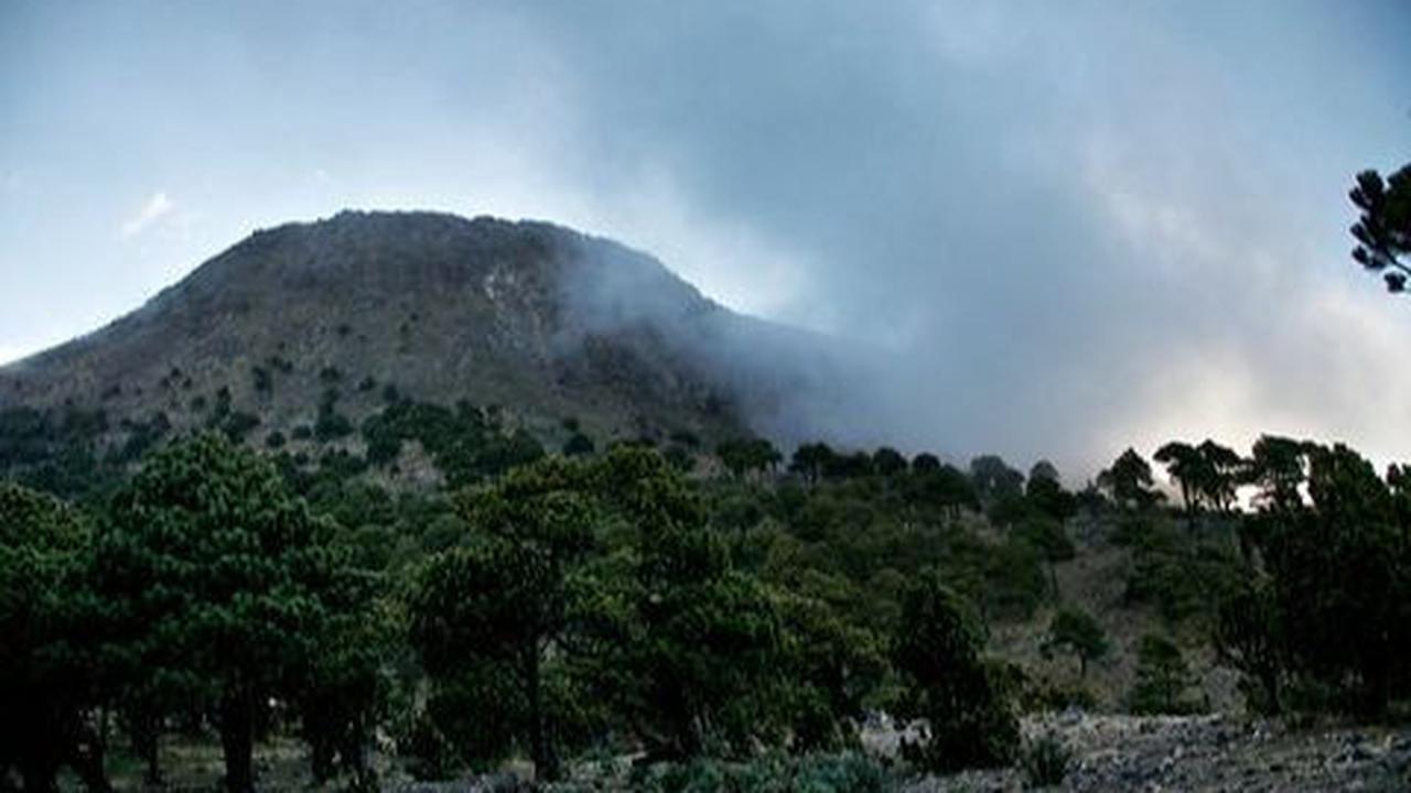 1. Aktivitas Gunung Berapi Dapat Terlihat dari Kesehatan Pepohonan di Sekitarnya<br>