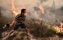 Perjuangan warga padamkan kebakaran hutan dengan alat seadanya