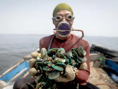 Supardi menunjukkan hasil tangkapannya berupa Kerang Hijau yang diambilnya di perairan pesisir Cilincing, Jakarta, Jumat (17/3). Supardi sudah menggeluti profesi sebagai nelayan kerang hijau selama 16 tahun. (Liputan6.com/Faizal Fanani)