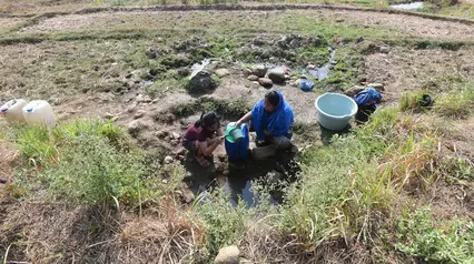 Warga Terpaksa Ambil Air dari Kubangan Bekas Sawah