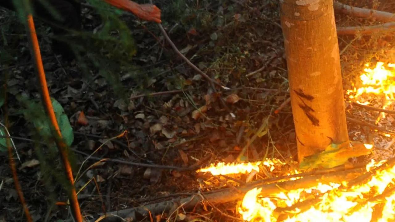 Petugas keamanan saat berusaha memadamkam api di lahan hutan kota di kawasan perumahan Batan Indah, Tangerang Selatan.