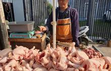 Harga Ayam Naik Jelang Lebaran, Kemendag Salahkan Pedagang Perantara karena Ambil Untung Terlalu Besar