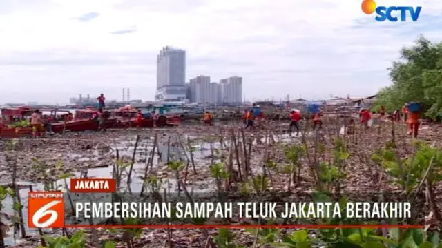 Hari ini menjadi hari terakhir upaya pengerukan sampah di Teluk Jakarta dengan total lebih dari 100 ton sampah telah diangkut.