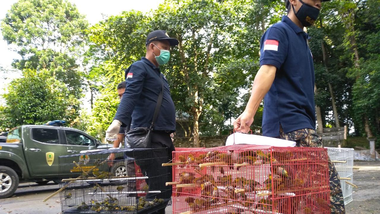 Burung hasil penyelundupan