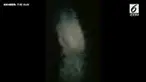 Sejak awal, Chris Chalker sudah merasa ada yang tak beres dari sebuah rumah yang tengah ia perbaiki.