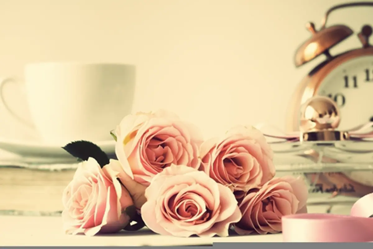 Foto: ShutterStock.com