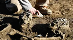 Sejumlah tengkorak yang ditemukan di daerah nekropolis kuno atau pemakaman kuno di Bordeaux, Prancis (6/12). Situs nekropolis biasanya digunakan para arkeolog dan sejarawan untuk mempelajari lebih lanjut tentang budaya pada saat itu. (AFP/Georges Gobet)