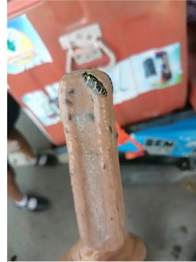 Pria Ini Temukan Ular Utuh di Es Krim Kacang Hitam, Bikin Merinding