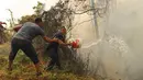Warga menggunakan ember untuk memadamkan api yang membakar hutan dekat rumah di Sao Joao Latrao, Pulau Madeira, Portugal, Rabu (10/8). Kebakaran ini menghancurkan sekitar 40 rumah warga dan sebuah hotel bintang lima. (REUTERS/Duarte Sa)