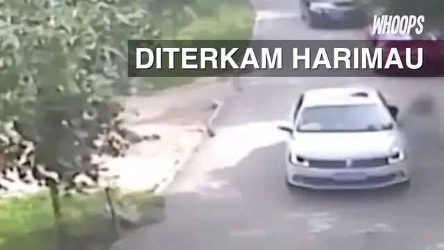 Larangan keluar dari mobil ternyata tak dihiraukan wanita malang yang akhirnya harus kehilangan nyawa.