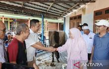 Kadin Tanjab Timur Salurkan Daging Kurban untuk 150 KK Nelayan