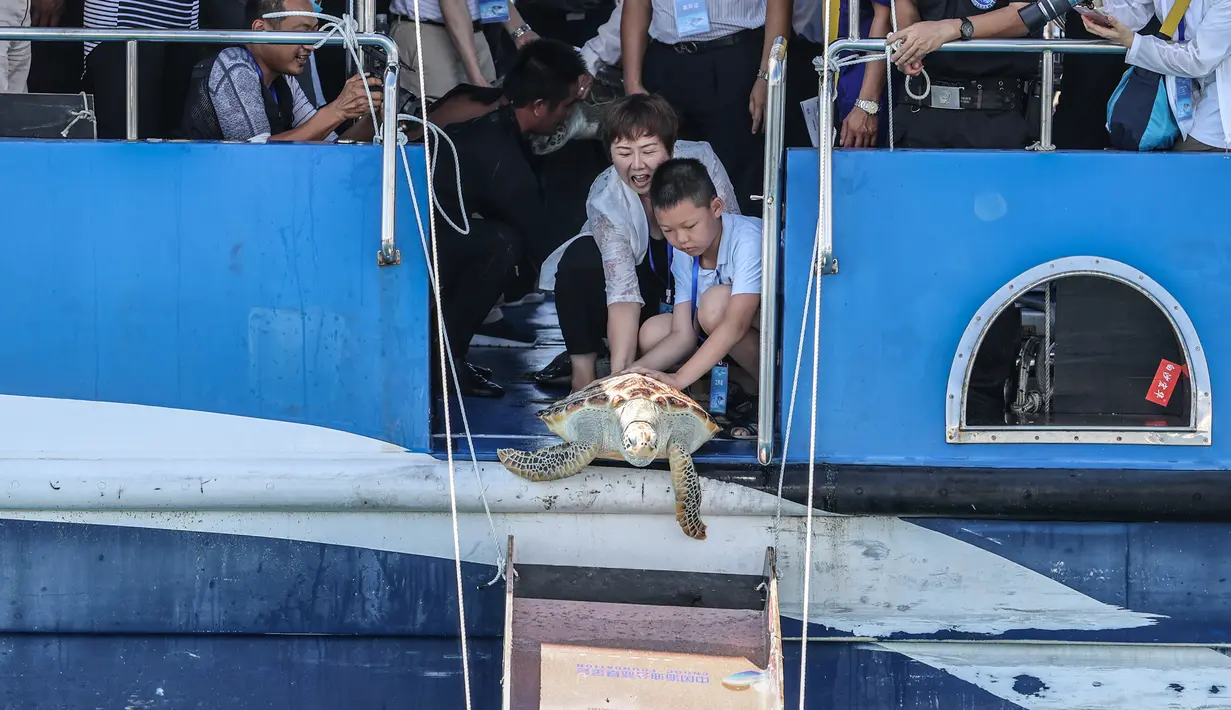 Para sukarelawan melepaskan penyu ke laut di Wilayah Lingshui, Provinsi Hainan, China selatan, pada 9 Agustus 2020. Sebanyak 99 ekor penyu, baik yang terdampar maupun hasil sitaan oleh penegak hukum, dilepaskan kembali ke laut pada Minggu (9/8). (Xinhua/Zhang Liyun)