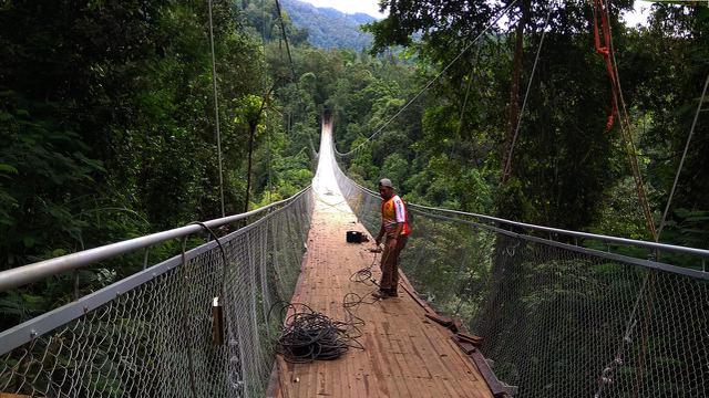 Ri Resmi Punya Jembatan Gantung Terpanjang Se Asia Tenggara