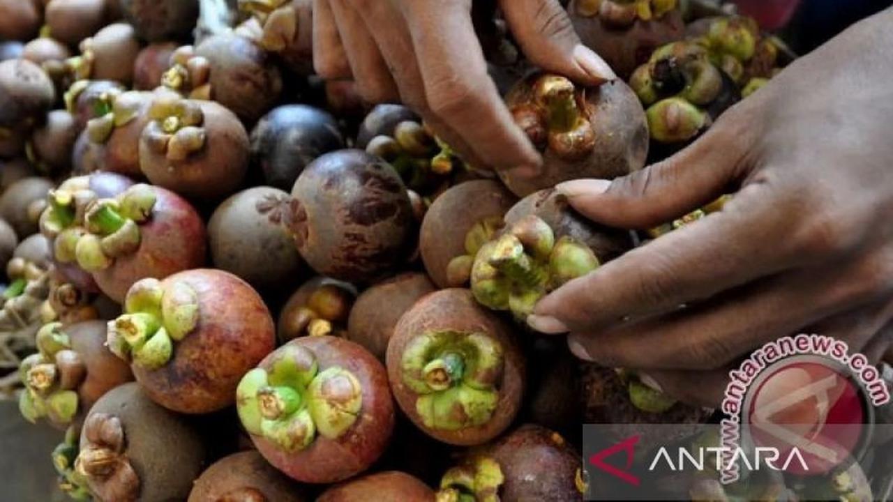Purwakarta Raih Penghargaan Investasi Terbaik, Wujudkan Komitmen Ekonomi Hijau dan Berkelanjutan