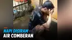 HEBOH NAPI DISIRAM AIR COMBERAN, INI KATA KALAPAS PONTIANAK