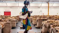 Seorang petani tembakau mencari balnya selama pembukaan resmi musim penjualan tembakau di Lantai Penjualan Tembakau, Harare, Zimbabwe, 7 April 2021. Musim penjualan tembakau tahun ini dihadiri sedikit petani karena pembatasan COVID-19. (Jekesai NJIKIZANA/AFP)