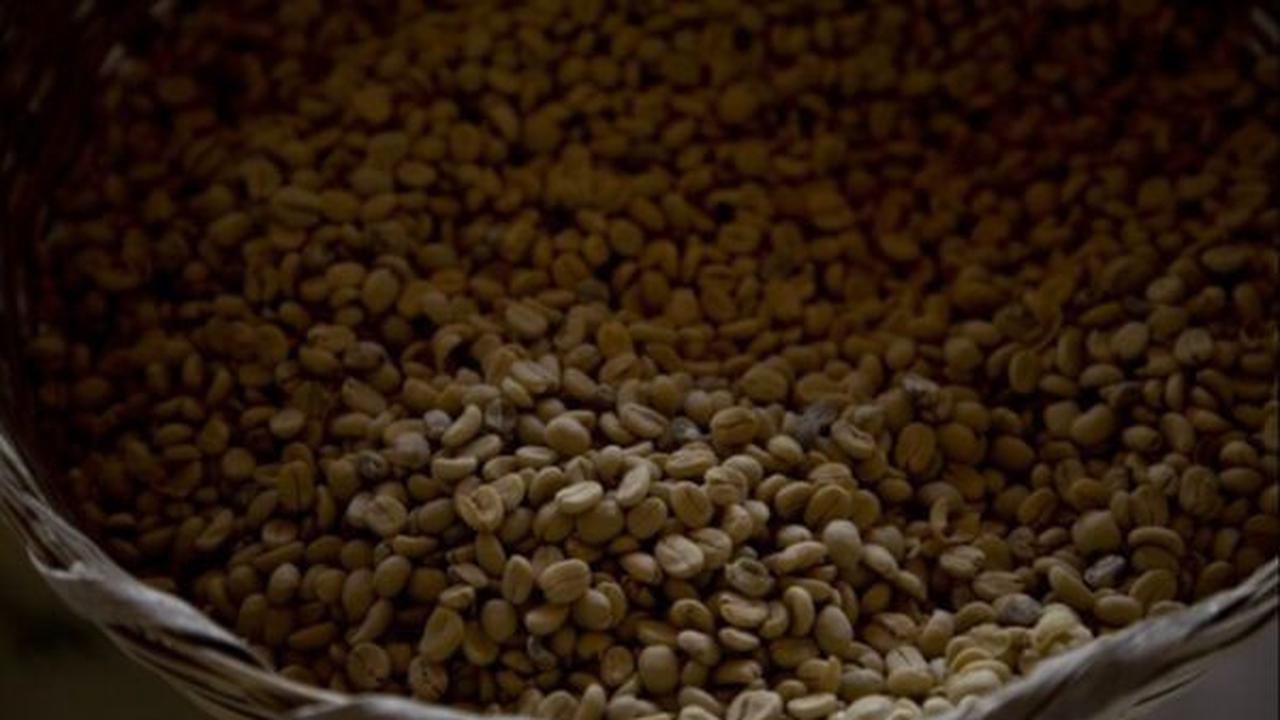 <b>Kopi Favorit Ratu Belanda</b>