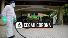 THUMBNAIL CORONA