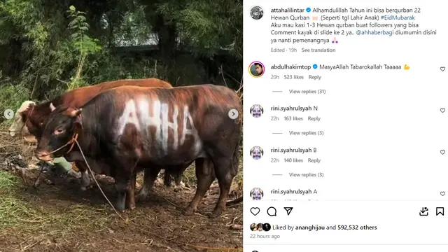 Atta halilintar