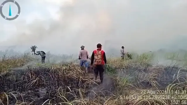 Kebakaran Hutan Way Kambas Masih Berkobar, Diduga Sengaja Dibakar