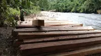 Balok-balok kayu yang diambil pelaku dari Taman Nasional Kerinci Seblat. (Liputan6.com/ ist)