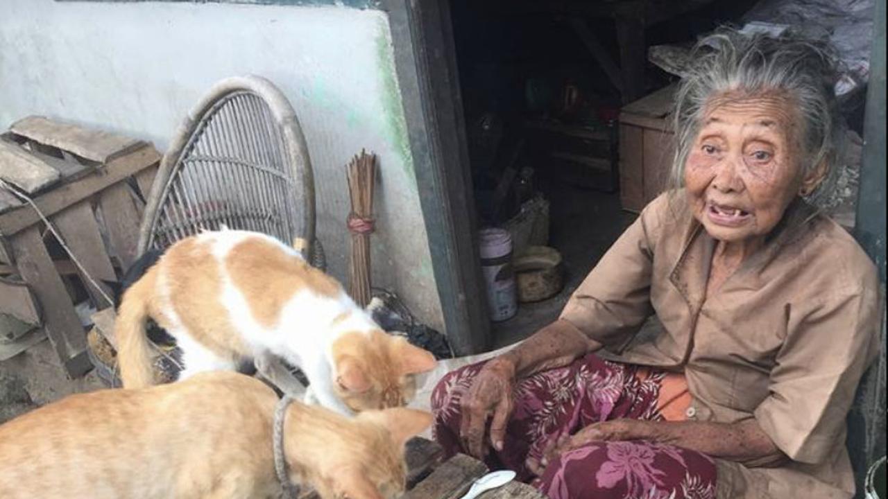 Hidup dengan Keterbatasan, Nenek Ini Tetap Menampung Kucing