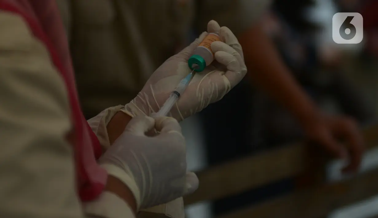 Paramedis menyiapkan vaksin rabies untuk hewan peliharaan milik warga di Kecamatan Duren Sawit, Jakarta, Selasa (7/6/2022). Vaksin rabies yang diberikan secara gratis ini juag untuk mewujudkan Jakarta menjadi wilayah zona bebas rabies. (merdeka.com/Imam Buhori)