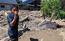 FOTO: Menyedihkan! Gajah Sumatera Ditemukan Tewas Terjebak Material Banjir Bandang di Pidie Jaya