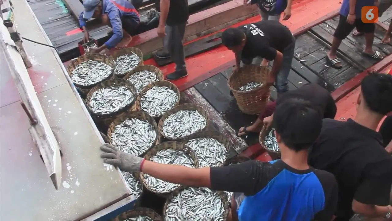 Nelayan Pelabuhanratu Sukabumi saat hendak menjajakan hasil tangkapan ikan kepada para tengkulak (Liputan6.com/Fira Syahrin).