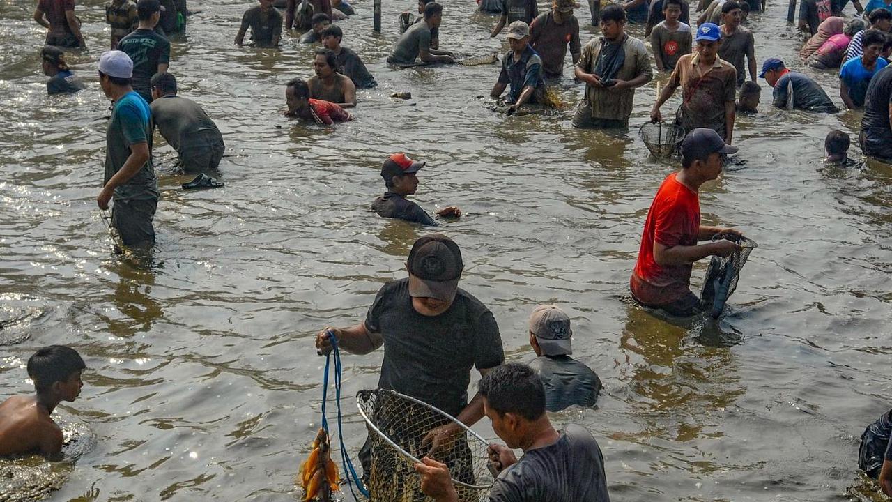 Ratusan warga berebut menangkap ikan menggunakan tangan selama Tradisi Ngubek Empang di Cilodong, Depok, Jawa Barat, Kamis (16/05/2024). Tradisi Ngubek Empang ini merupakan bagian dari rangkaian kegiatan perayaan Lebaran Depok  2024. Foto: Merdeka.com/
