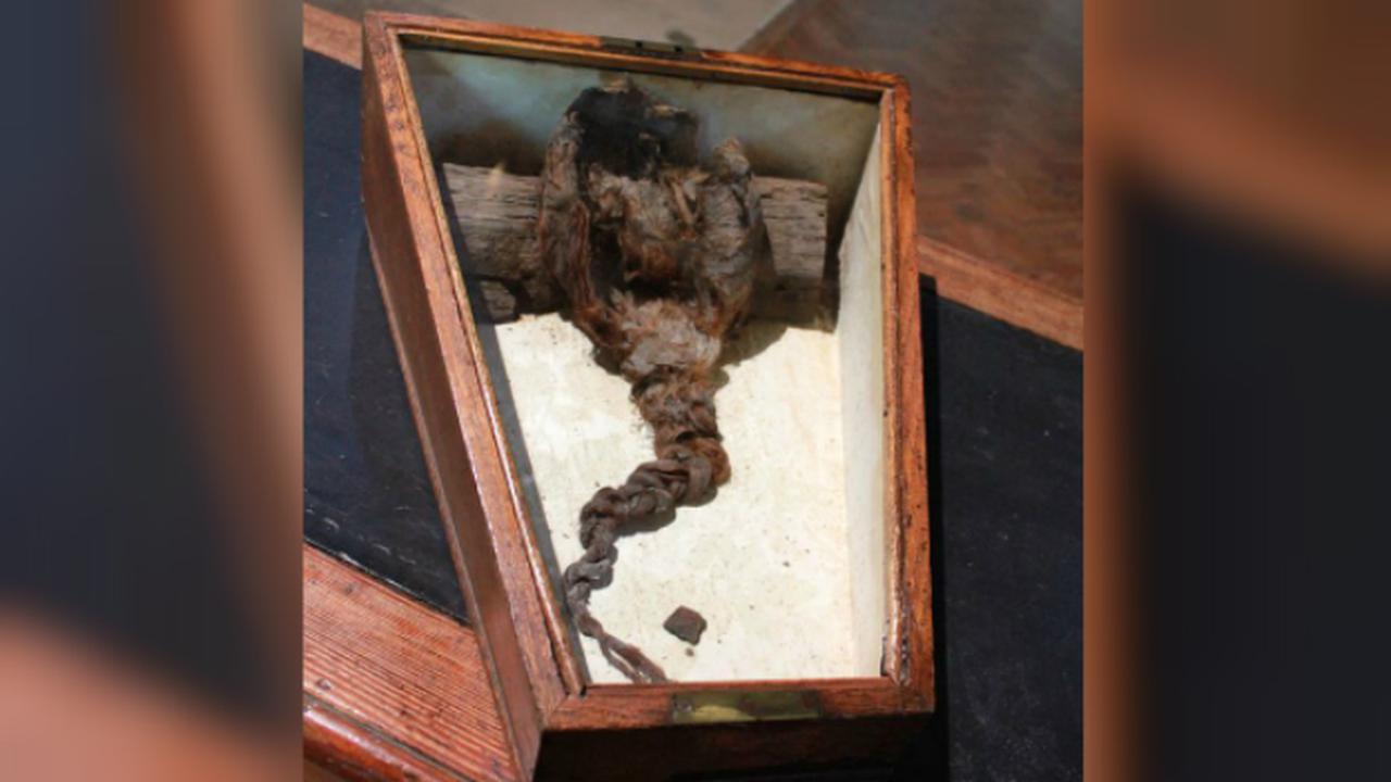 Rambut kepang yang ditemukan di bawah gereja Romsey Abbey