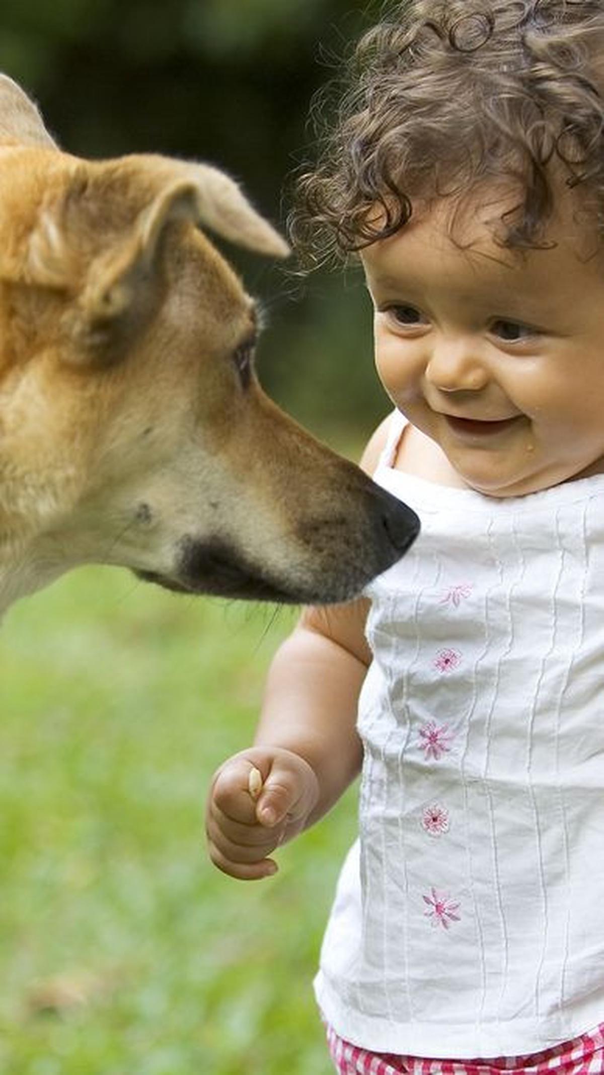 Ide Nama Anjing Jantan Menarik<br>