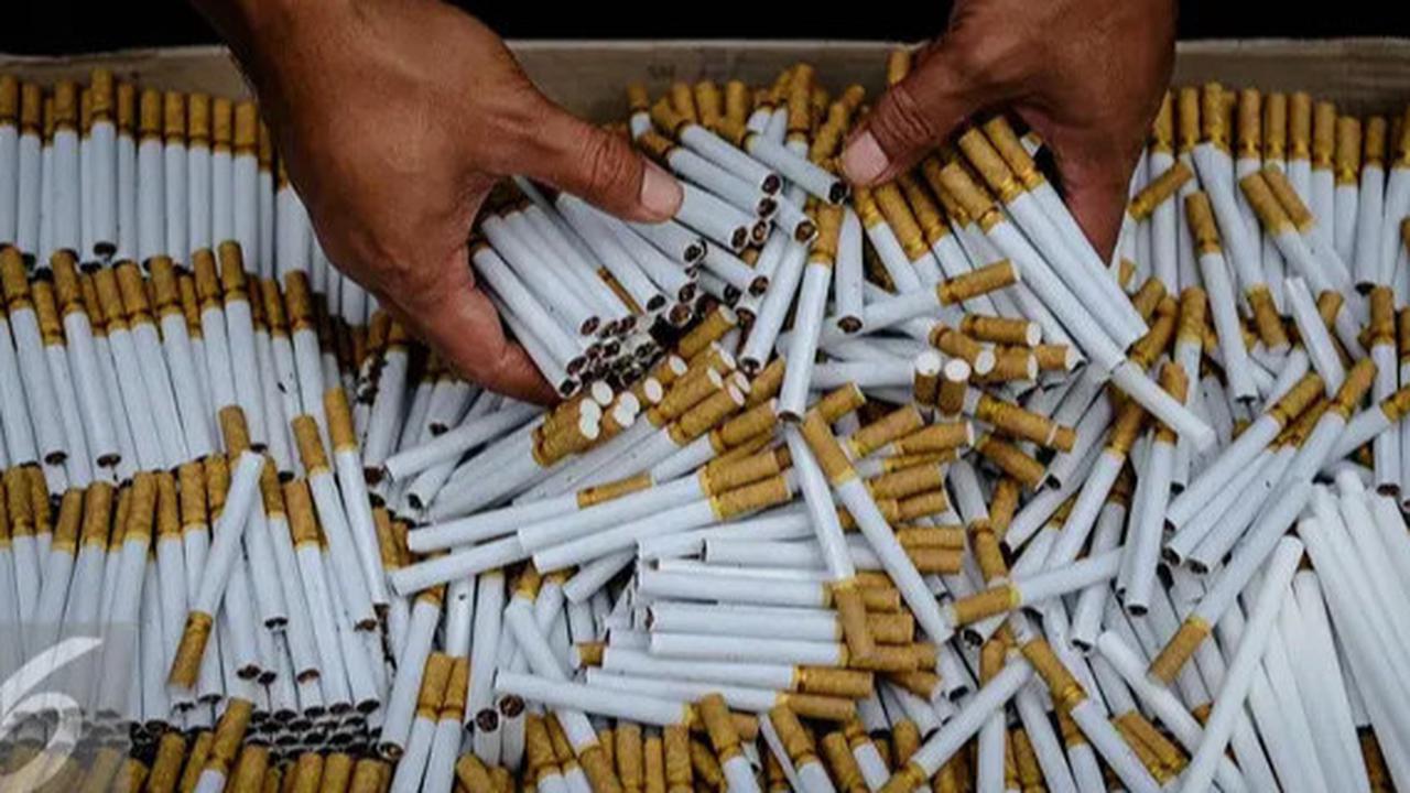Hati-Hati, Rokok Kemasan Polos Mudah Ditiru Rokok Ilegal dan Penerimaan Negara Bisa Hilang