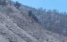 Gunung Bromo Butuh Hingga 5 Tahun untuk Kembali Hijau, Biayanya Capai Rp3,5 Miliar