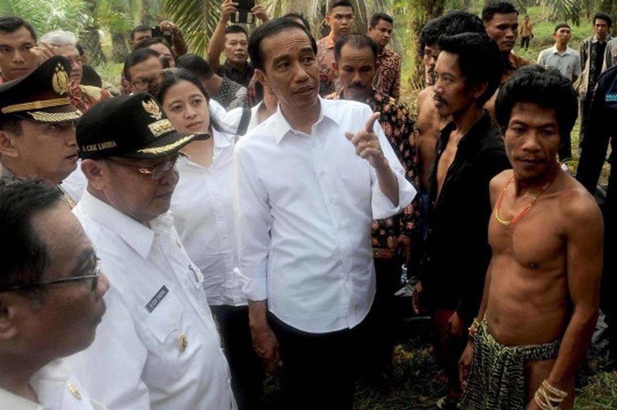 Keakraban Jokowi bertemu Suku Anak Dalam di hutan sawit