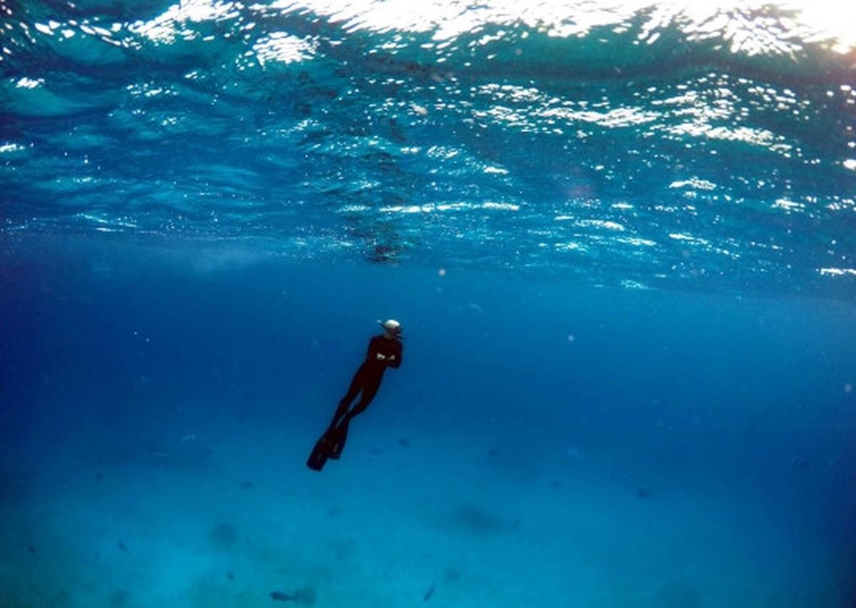 Melihat ribuan terumbu karang rusak parah di laut Queensland